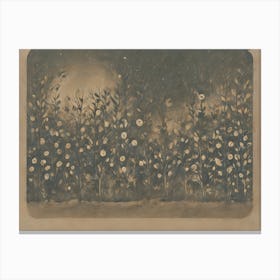 Moonlight In The Garden Canvas Print