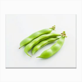 Green Beans 2 Canvas Print