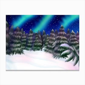 Snowy trees northern lights Canvas Print