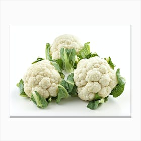 Cauliflower 14 Canvas Print