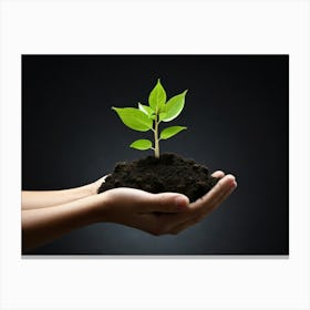 Person Holding A Plant Canvas Print