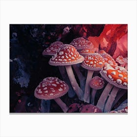 Mushrooms In The Forest 2 Canvas Print