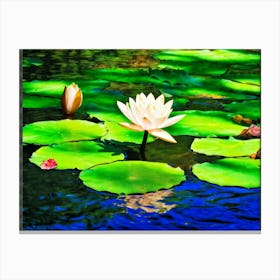 A Single White Lotus Flower Resting On A Tranquil Duck Pond Beneath A Radiant Summer Sun Petals Ge (1) Canvas Print