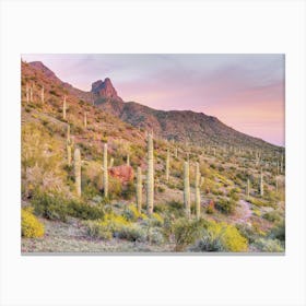 Pastel Desert Sunset Scenery Canvas Print