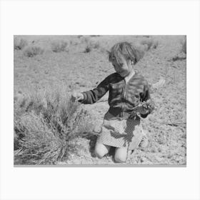 Josie Caudill Gathering Wild Flowers, Pie Town, New Mexico By Russell Lee Canvas Print