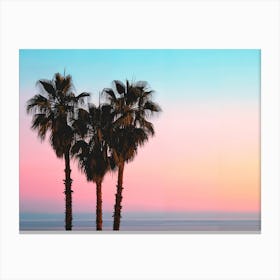 California Dreaming - Coastal Palms Canvas Print