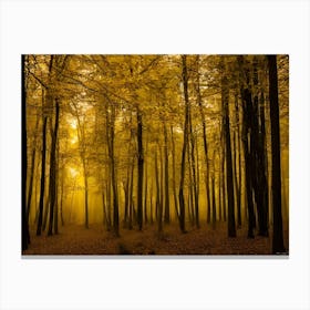 Foggy Forest 2 Canvas Print