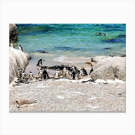 Penguins On The Beach (Africa Series) 1 Canvas Print