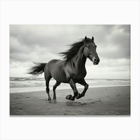 Black Horse Galloping On The Beach Canvas Print