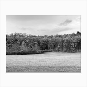 Black And White Field Canvas Print