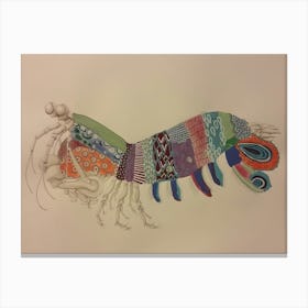Mantis Shrimp Canvas Print