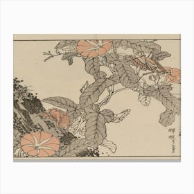 Wakame Canvas Print