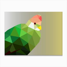 Red Crested Turaco Art Canvas Print