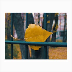 Autumn Leaf On Fence Canvas Print