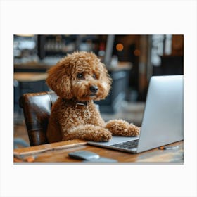 Poodle On A Laptop Canvas Print