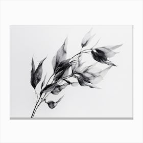 Black And White Leaves 1 Canvas Print