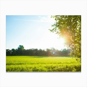 Field With Sun Canvas Print