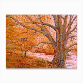 Walking on Autumn colours Canvas Print