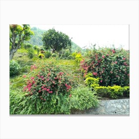 Garden 4 By Binod Dawadi Canvas Print