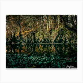 Cypress Pond Canvas Print