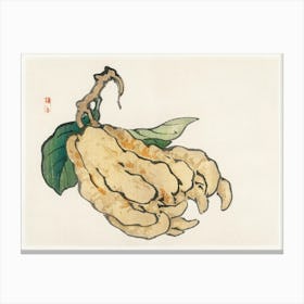 Etrog, Kōno Bairei Canvas Print