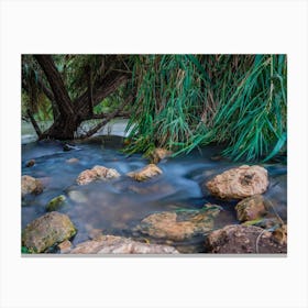 Peaceful Stream In The Forest 1 Canvas Print