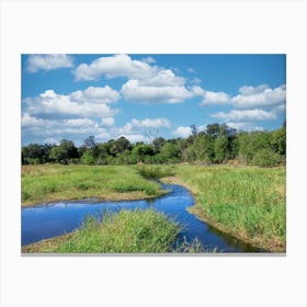 Okavango Delta channels Canvas Print
