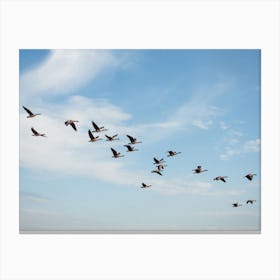 Migrating Geese Canvas Print