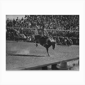 Untitled Photo, Possibly Related To Fancy Riding Demonstration At The Rodeo Of The San Angelo Fat Stock Show 2 Canvas Print