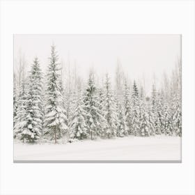 Rustic Winter Forest Canvas Print