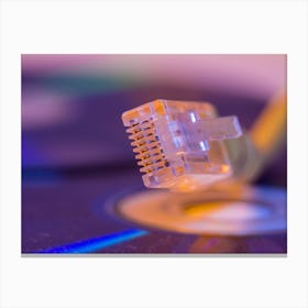Closeup Of Ethernet Cable With It S Reflection On Blank Disc Canvas Print