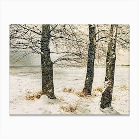 Three Birch Trees In Snow Canvas Print