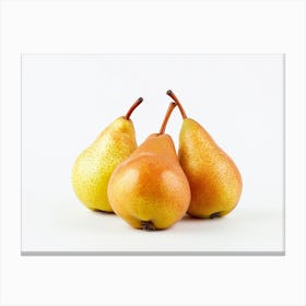 Three Pears 1 Canvas Print