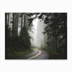 Pacific Northwest Forest Road Dreams Canvas Print