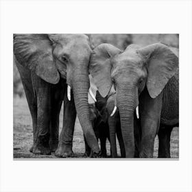 Family Of Elephants in Kenya  Canvas Print