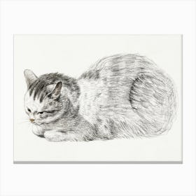 Sketch Of A Lying Cat, Jean Bernard Canvas Print