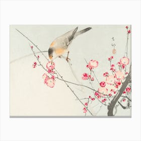Songbird On Blossom Branch, Ohara Koson Canvas Print