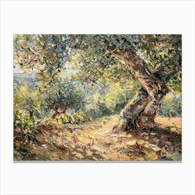 Olive Tree 2 Canvas Print