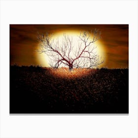 Full moon tree Canvas Print