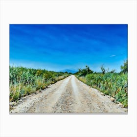 Country Road Under Blue Sky in Camargue France. A dirt road stretches out into the distance, lined by tall green grasses and a few scattered trees. The road is dusty and appears to be rarely traveled. The sky is a vibrant blue, with only a few wispy clouds. The image evokes a sense of tranquility and solitude, suggesting a peaceful rural setting. Canvas Print