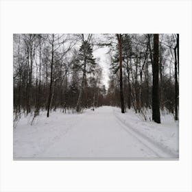 Winter In The Forest Canvas Print