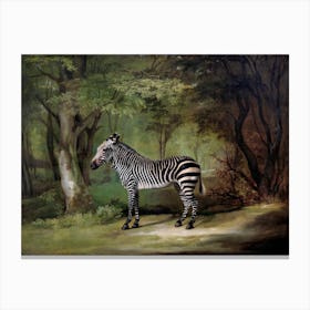 Zebra In The Woods, Dark Moody Vintage Art Canvas Print