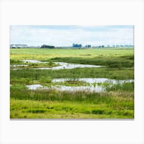 Iowa Wetland Landscape Canvas Print