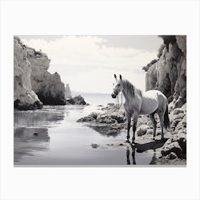 A Horse Oil Painting In Cala Macarella, Spain, Landscape 2 Canvas Print