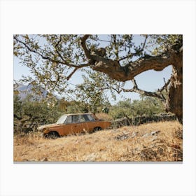 Yellow old car and olive trees Canvas Print