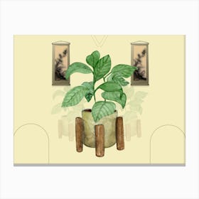 Chinese Potted Plant 1 Canvas Print