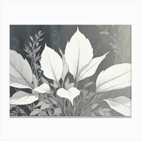 A Black And White Illustration Of A Plant With Large Leaves 1 Canvas Print