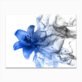 Blue Lily Canvas Print