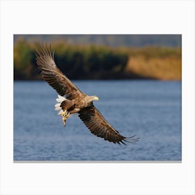 Eagle Canvas Print