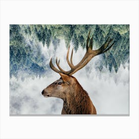 The Deer And The Woods Canvas Print